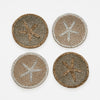 Joanna Buchanan Starfish Coaster